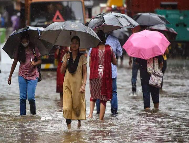 Mumbai Rain Update mumbai university tomorrow exam postponed thane navi Mumbai panvel school close Mumbai Rain : मुंबई विद्यापीठाच्या उद्याच्या परीक्षा रद्द; अतिवृष्टीच्या इशाऱ्यानंतर ठाणे, नवी मुंबईत शाळांना सुट्टी   
