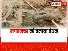 Sheopur News: चंबल नदी में नहाने गए आठ साल के बच्चे को मगरमच्छ ने निगला, हुई दर्दनाक मौत