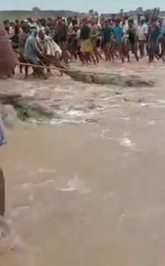 In Pics: चंबल नदी में नहा रहे बच्चे को मगरमच्छ ने निगला, गांव वालों ने बनाया बंधक, देखें तस्वीरें