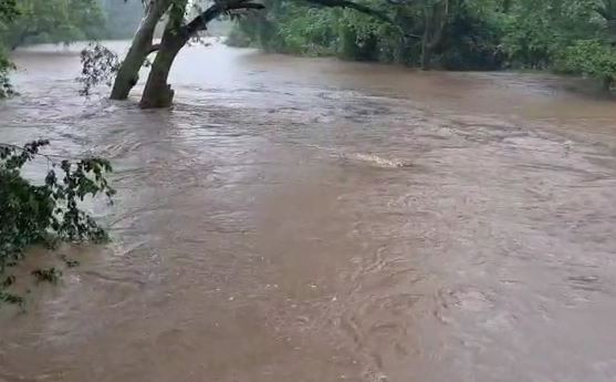 Yavatmal Rain : यवतमाळ जिल्ह्यात पावसाची संततधार, 500 हेक्टरवरील पिकं पाण्याखाली