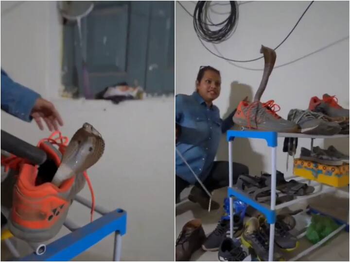 Viral Video Snake Found Curled Up In Shoe Reptile Gets Rescued By Trained Personnel - Watch Viral Video: 'షూ' వేసుకునే ముందు ఒకసారి చెక్‌ చెయ్ బ్రో- ఇలా పాముంటే అంతే సంగతి!