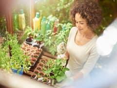 Gardening Tips: घर की फटी-पुरानी चीजों से सजाएं गार्डन, नजारा देख हर कोई कहेगा वाह