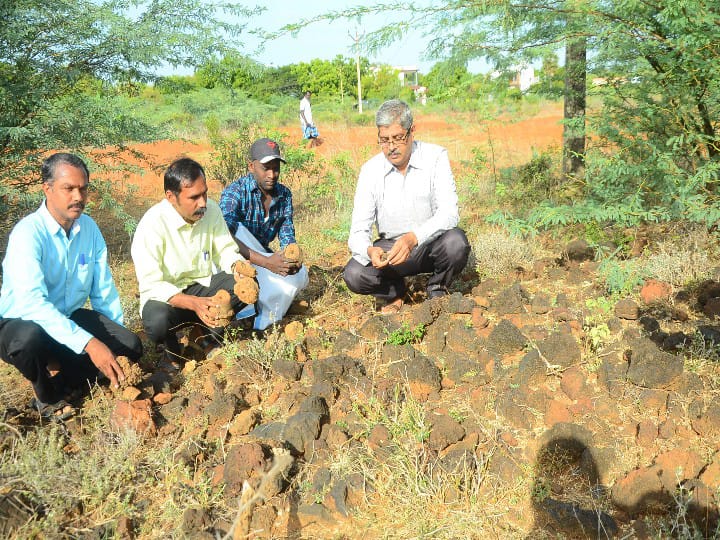 சிவகங்கையை அடுத்த பையூரில் பெருங்கற்கால இரும்பு உருக்காலை எச்சங்கள் கண்டுபிடிப்பு..!