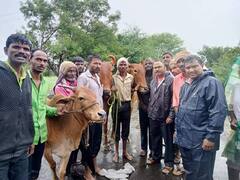 Nanded:नांदेड जिल्ह्यात अत्यंत भयंकर परिस्थिती; कुठे नागरिक पाण्यात अडकली तर कुठे जनावरे गेली वाहून