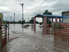 Narmadapuram News: बारिश की वजह से नर्मदा नदी उफान पर, भारी बारिश की चेतावनी जारी, NDRF तैनात