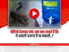 Shocking: घर के अंदर घुसते विशाल अजगर को देख यूजर्स ने पूछा- ये असली है या नकली