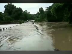 PHOTO : गडचिरोलीत कोसळधार! शेकडो गावांचा मुख्यालयाशी संपर्क तुटला