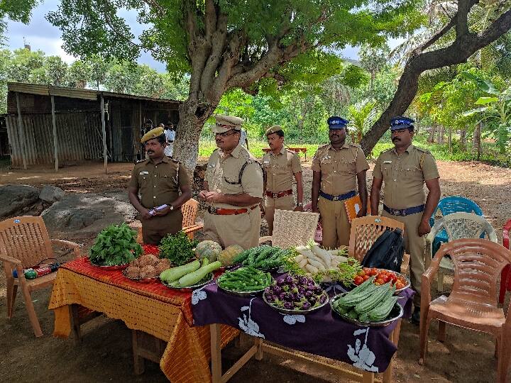 சிறைச்சாலையில் 3 மாதத்தில் இரண்டு டன் காய்கறிகள் சாகுபடி - சேலம் திறந்த வெளி சிறையின் புதிய முயற்சி