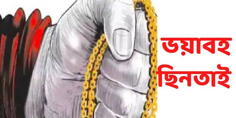 ‌Nadia News Miscreants snatched ornaments from housewife at Shyambazar ‌Nadia News :  ছিনতাই শ্যামবাজারে ! মহিলাকে পিস্তল দেখিয়ে গয়না নিয়ে চম্পট দিল দুষ্কৃতী