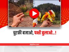 Watch: चुटकी बजाते ही हाथ पर बैठ जाते हैं सभी पक्षी, देखिए ये अद्भुद वीडियो