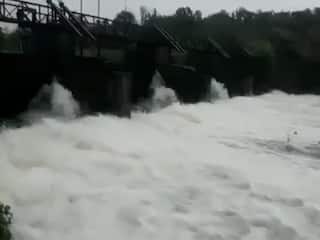 Nagpur : नवेगाव खैरी, गोरेवाडा, नांद आणि वेणा धरणातून पाण्याचा विसर्ग सुरू, नदीकाठच्या गावांना सतर्कतेचा इशारा