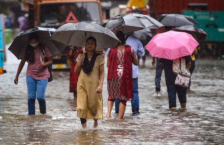 Maharashtra Rains Rain Update Red Alert issued in Palghar Pune Gadchiroli Mumbai Pune Nashik Rain Weather Update Know rainfall conditions across state Maharashtra Rains: पावसाचं धुमशान! आजही राज्यात अनेक ठिकाणी रेड अलर्ट, सतर्कतेचं आवाहन