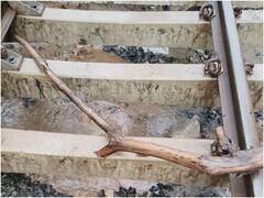 In Photos: छिंदवाड़ा में बारिश का कहर, रेलवे ट्रैक के नीचे से पत्थर के टुकड़े बहे, देखें तस्वीरें