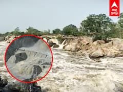 Hogenakkal Falls Flood: கரை புரண்டு வரும் காவிரி ! ஒகேனேக்கலில் குளிக்க தடை