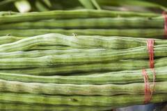 Business Idea: ਸੁਹਾਂਜਣੇ ਦੀ ਖੇਤੀ ਕਰਕੇ ਕਿਸਾਨ ਹੋ ਜਾਣਗੇ ਮਾਲਾਮਾਲ, ਸਿਰਫ਼ ਇੱਕ ਵਾਰ ਲਗਾਓ ਪੈਸਾ, 10 ਸਾਲਾਂ ਤੱਕ ਹੋਵੇਗੀ ਬੰਪਰ ਕਮਾਈ