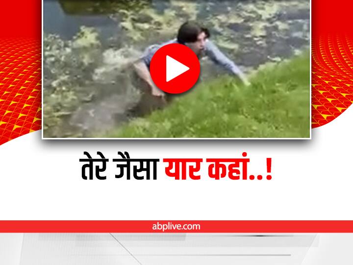 friend leave another friend hand he fell down in pond video viral on social media Funny: तालाब में कछुआ पकड़ रहे शख्स का दोस्त ने छोड़ा हाथ, चूर-चूर हो गया भरोसा!