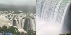Watch Viral Video: বর্ষায় অপরূপা এই জলপ্রপাত, নায়াগ্রা বলে ভ্রম হতে বাধ্য, দেখুন ভাইরাল ভিডিও