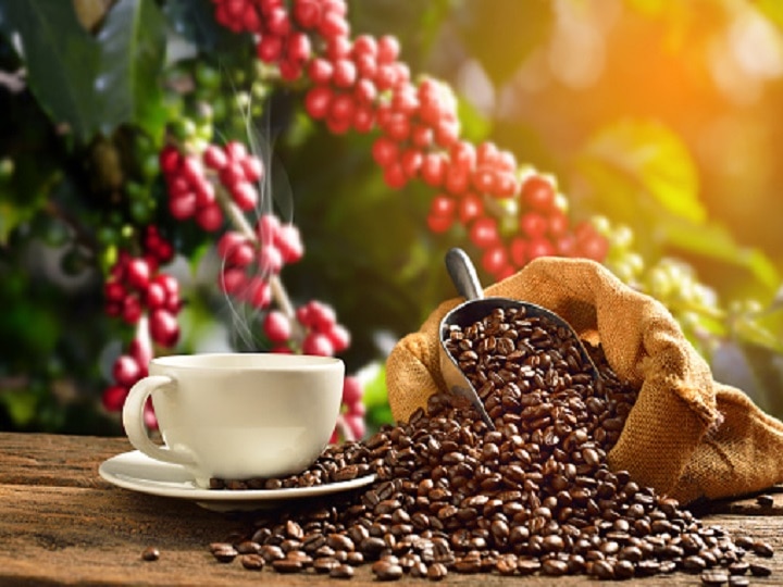 Coffee Cultivation: किसानों के लिये खुलेंगे तरक्की के द्वार, इन राज्यों में शुरु करें कॉफी की खेती