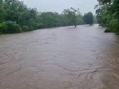 PHOTO : गडचिरोलीत कोसळधार! शेकडो गावांचा मुख्यालयाशी संपर्क तुटला