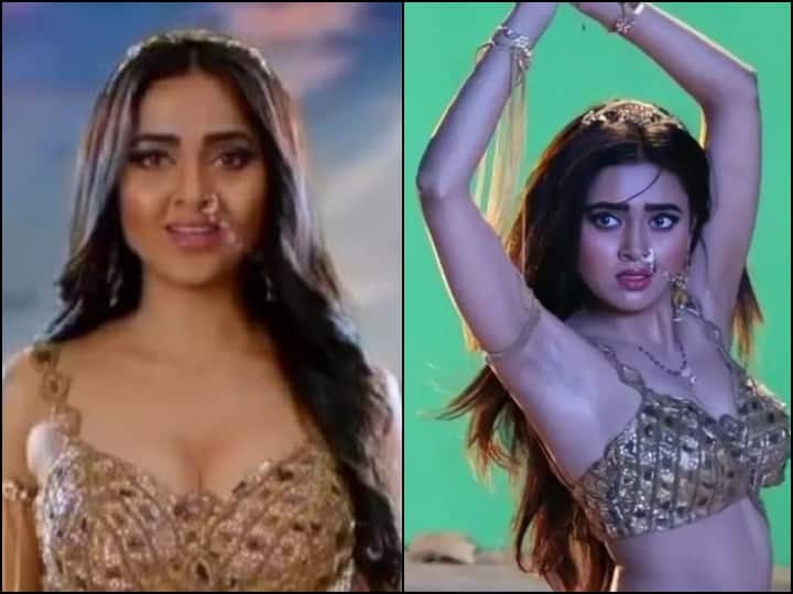 Naagin 6 New Updates Two Actors will have a tremendous entry Naagin 6 New Updates: 'नागिन' की जिंदगी में आने वाला है तहलका, सीरियल में टीवी के इन दो सितारों की होगी जबरदस्त एंट्री