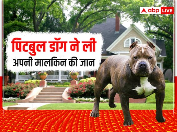 Pitbull Dog Attack: पिटबुल डॉग ने किया अपनी मालकिन पर जानलेवा हमला, इलाज के दौरान हुई मौत Pitbull Dog Attack: पिटबुल डॉग ने किया अपनी मालकिन पर जानलेवा हमला, इलाज के दौरान हुई मौत