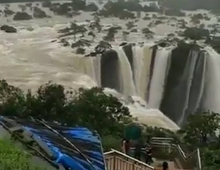 Karnataka Jog Falls Video Goes Viral Looks Waterfalls Become Most Beautiful on Monsoon Season Watch : ભારતનો આ ધોધ જોઇ ભૂલી જશો નાયેગ્રા ધોધ, વીડિયો થયો વાયરલ