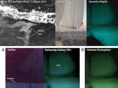 Private Yacht Ganesha Captures First Pictures Of Mysterious 'Milky Seas'