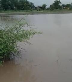 राज्याच्या विविध भागात मुसळधार पाऊस