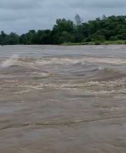 Maharashtra Rains :  पालघरसह नाशिक आणि पुणे जिल्ह्यात रेड अलर्ट, अनेक ठिकाणी जनजीवन विस्कळीत