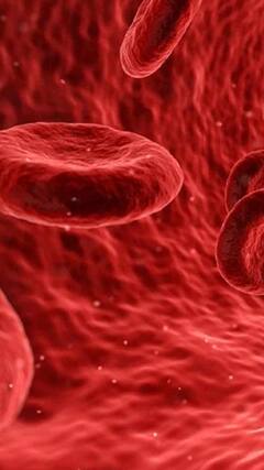 Rare Blood Group : भारतात आढळला EMM Negative नावाचा दुर्मिळ रक्तगट