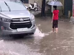 Photo Gallery: नांदेड महापालिकेच्या गलथान कारभारामुळे रस्त्याला तळ्याचे स्वरूप