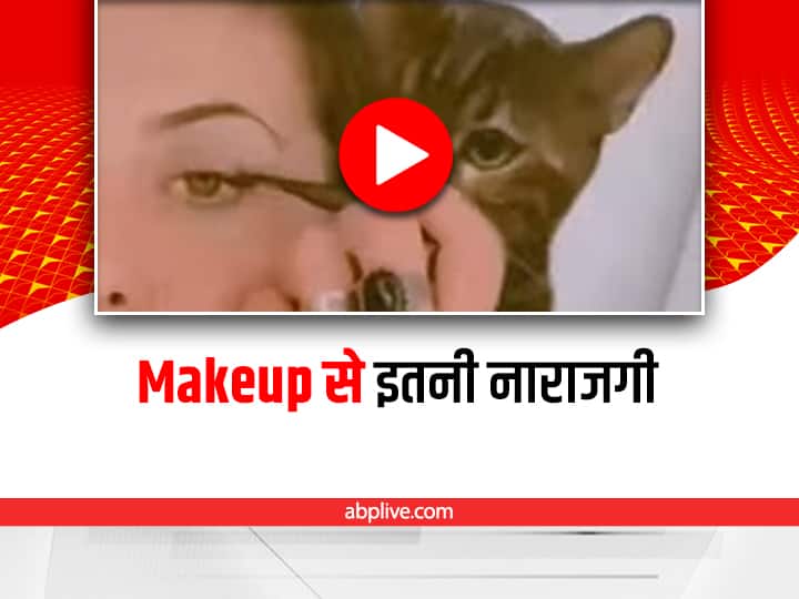 cat slaps woman doing makeup video viral on social media Viral Video: मेकअप कर रही थी महिला, बिल्ली ने अचानक जड़ दिए कई थप्पड़