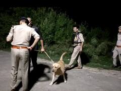 Baghpat News: पेट्रोल पंप से 25 हजार रुपए लेकर भाग रहे थे 3 लुटेरे, पुलिस के साथ हुई मुठभेड़, एक घायल