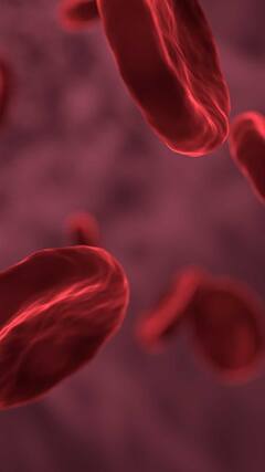 Rare Blood Group : भारतात आढळला EMM Negative नावाचा दुर्मिळ रक्तगट