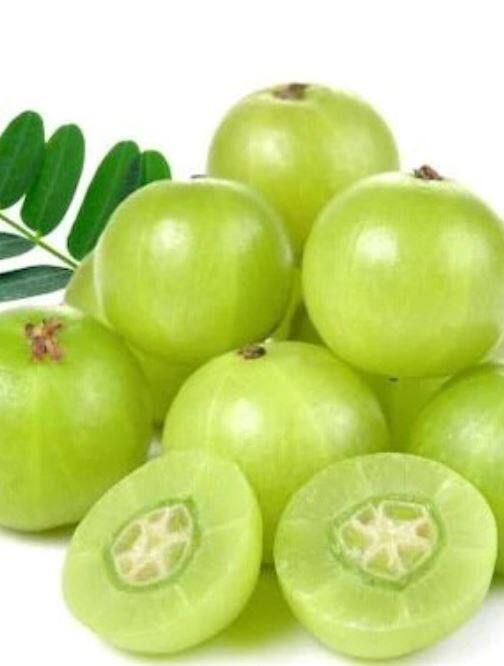 पण आवळ्याचे अनेक आरोग्यदायी फायदे असल्यामुळे आवळा खाणं आरोग्यासाठी अत्यंत फायदेशीर ठरतो.