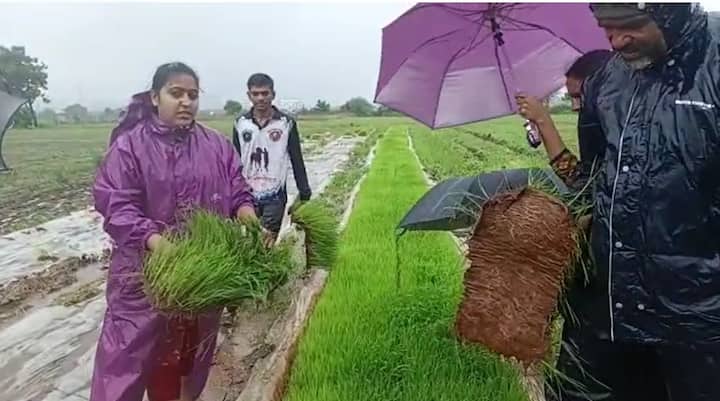 गेल्या महिनाभरापासून शेतकरी पावसाची वाट बघत होते. अखेर चांगल्या पावसाला सुरुवात झाली आहे. त्यामुळं शेतकरी आनंदी आहेत.