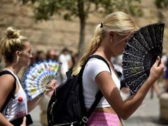 France, Spain, Portugal Battle Wildfires As Intense Heatwave Scorches Europe | IN PICS