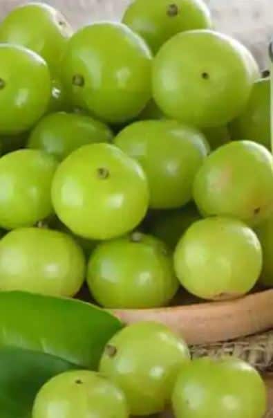 त्यामुळे अनेकजण आवळा पाहिला की नाकतोंड मुरडतात.