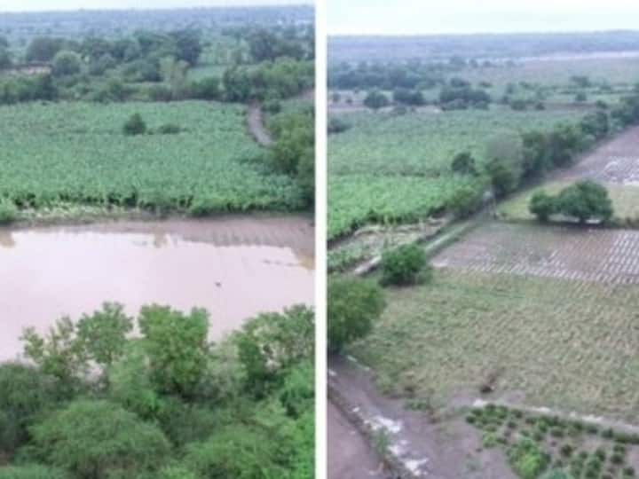 Gujarat Due to heavy rains 50 thousand hectare crop was ruined survey is being done Gujarat Rain News: गुजरात में बारिश से तबाही, 50 हजार हेक्टेयर की फसल हुई बर्बाद, कराया जा रहा सर्वे