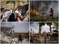 France, Spain, Portugal Battle Wildfires As Intense Heatwave Scorches Europe | IN PICS