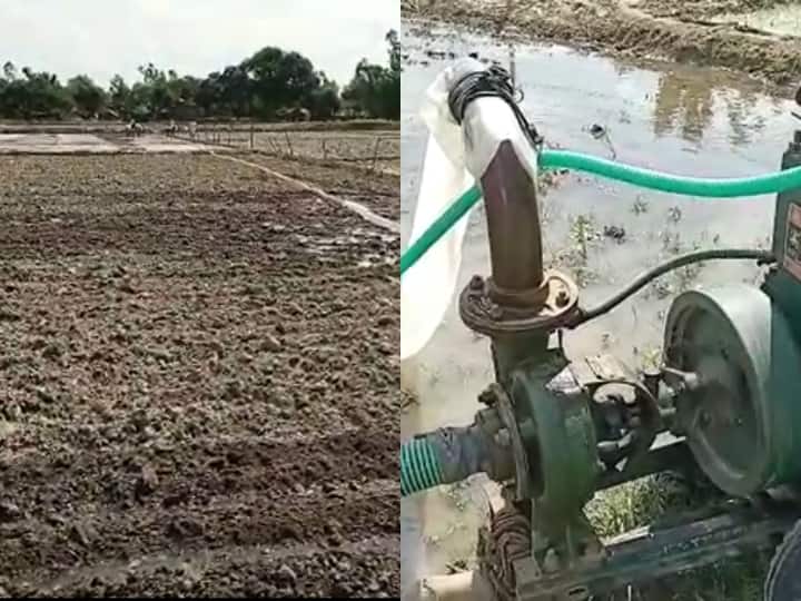 Shravasti Weather News: श्रावस्ती में सूखे की मार झेल रहे किसान, बिजली की कटौती ने भी किया परेशान Shravasti Weather Update farmers are waiting for rain drought like Situation ANN Shravasti Weather News: श्रावस्ती में सूखे की मार झेल रहे किसान, बिजली की कटौती ने भी किया परेशान