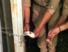 Meerut News: 10 हेक्टेयर में बना याकूब कुरैशी का मीट प्लांट कुर्क, 100 करोड़ से ज्यादा की लगी हैं मशीनें