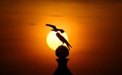 Supermoon 2022: दिल्ली में दिखा सूपरमून का सुंदर नजारा, तस्वीरें देख आप भी हो जाएंगे मंत्रमुग्ध