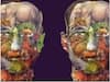 Optical Illusion: ਆਪਣੇ ਆਪ ਨੂੰ ਸਮਝਦੇ ਹੋ ਜੀਨੀਅਸ? ਇਸ ਤਸਵੀਰ ਵਿੱਚ ਲੁਕੇ 25 ਜਾਨਵਰਾਂ ਦੇ ਨਾਮ ਦੱਸੋ