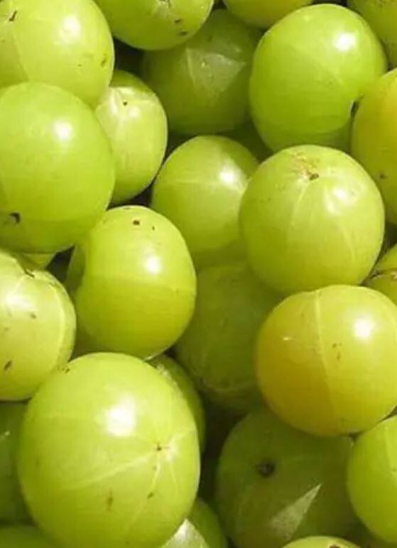 त्याचबरोबर मोठ्या प्रमाणात अॅन्टीऑक्सिडंट आणि अॅन्टीएजिंग गुणधर्म असतात.