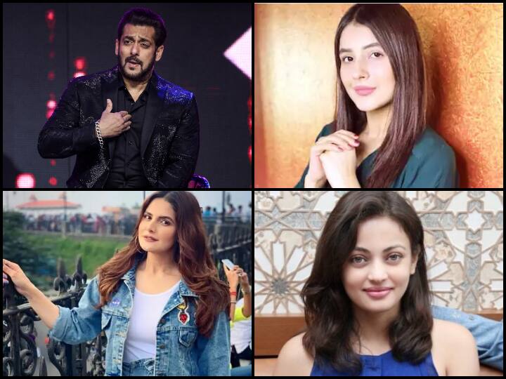 Before Shehnaaz Gill Salman Khan launch these actresses in Bollywood Shehnaaz Gill से पहले इन अभिनेत्रियों को फिल्मों में लॉन्च कर चुके हैं Salman Khan, लेकिन नहीं बन पाया करियर