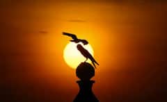 Supermoon 2022: ਦਿੱਲੀ 'ਚ ਦੇਖਿਆ ਗਿਆ ਸੁਪਰਮੂਨ ਦਾ ਖੂਬਸੂਰਤ ਨਜ਼ਾਰਾ, ਤਸਵੀਰਾਂ ਦੇਖ ਕੇ ਤੁਸੀਂ ਵੀ ਰਹਿ ਜਾਓਗੇ ਹੈਰਾਨ