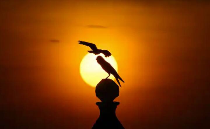 ਜਾਣਕਾਰੀ ਮੁਤਾਬਕ ਬੁੱਧਵਾਰ ਦੀ ਪੂਰਨਮਾਸ਼ੀ ਨੂੰ 'ਬਕ ਮੂਨ' ਦਾ ਨਾਂ ਦਿੱਤਾ ਗਿਆ ਹੈ। ਇਹ ਇਸ ਲਈ ਹੈ ਕਿਉਂਕਿ ਫਿਰ ਹਿਰਨ ਦੇ ਨਵੇਂ ਸਿੰਗ ਉੱਗਦੇ ਹਨ