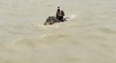 ਹਾਥੀ ਨੇ 1 ਕਿਲੋਮੀਟਰ ਤੱਕ ਡੂੰਘੇ ਪਾਣੀ 'ਚ ਤੈਰ ਕੇ ਬਚਾਈ ਆਪਣੇ ਮਹਾਵਤ ਦੀ ਜਾਨ, Video ਵੇਖ ਕੇ ਲੋਕਾਂ ਦੀਆਂ ਅੱਖਾਂ 'ਚ ਆਏ ਹੰਝੂ