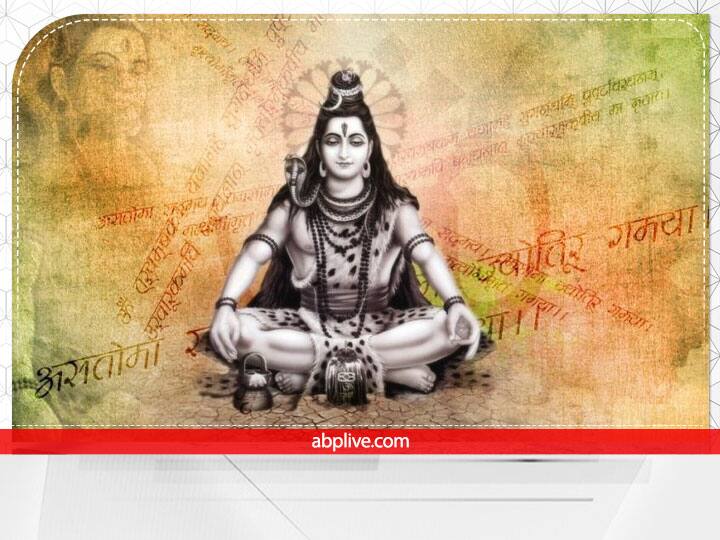 शिव जी का शक्तिशाली मंत्र (shiv mantra) नमो स्तवन अनंताय सहस्त्र मूर्तये, सहस्त्रपादाक्षि शिरोरु बाहवे. सहस्त्र नाम्ने पुरुषाय शाश्वते, सहस्त्रकोटि युग धारिणे नम: